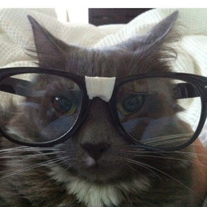 Meet your Posher, Vincent